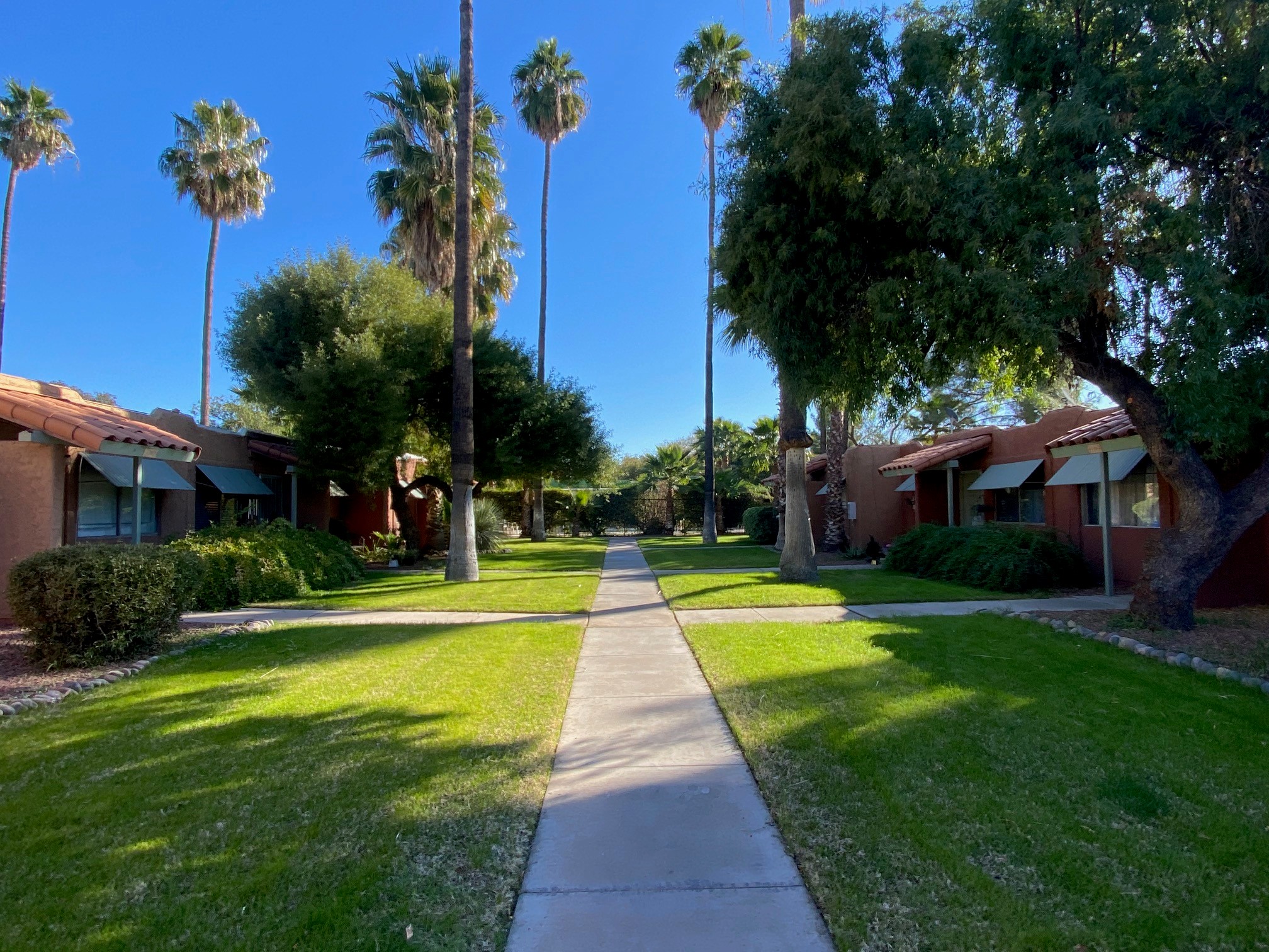 Palm Villas
